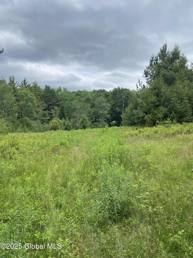 L20.130 Mcmurtry, Crown Point, NY 12928 - photo 14