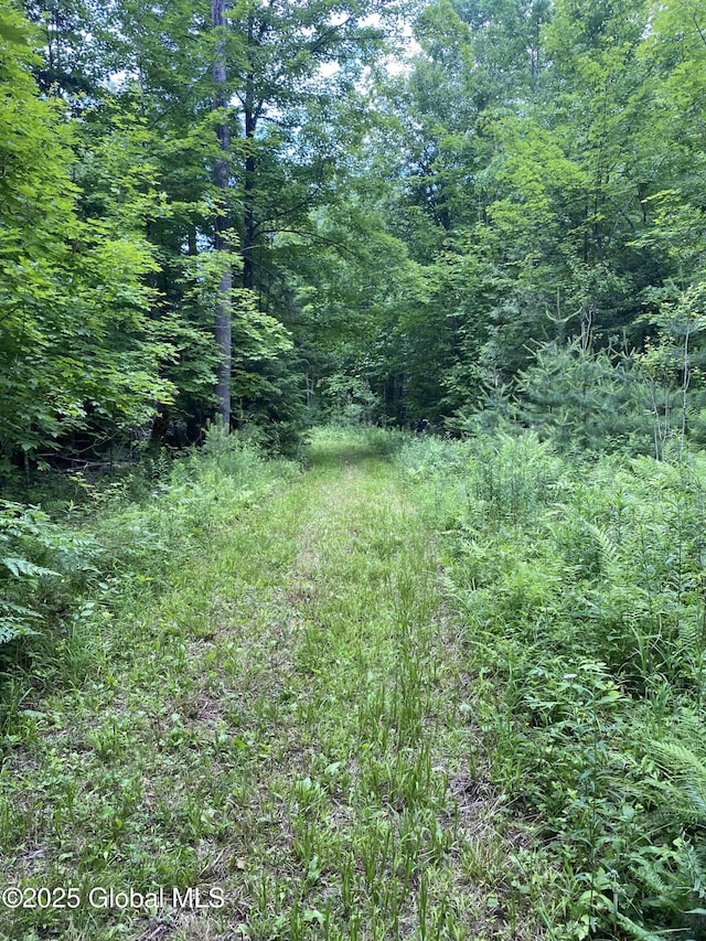 L20.130 Mcmurtry, Crown Point, NY 12928 - photo 4