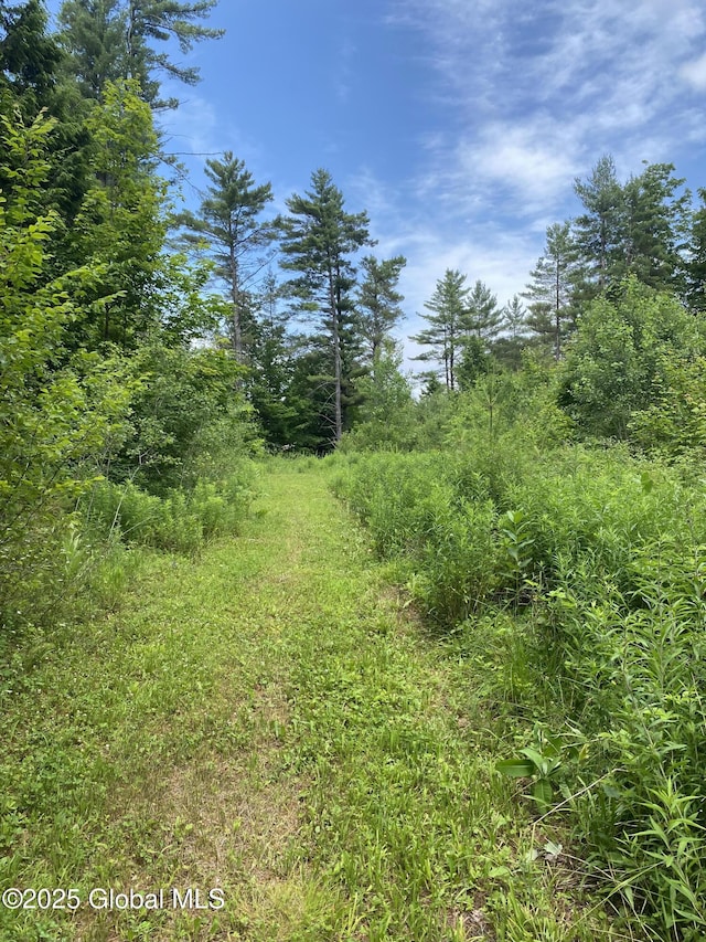 L20.130 Mcmurtry, Crown Point, NY 12928 - photo 3