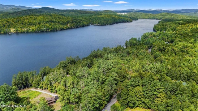 birds eye view of property with a water and mountain view