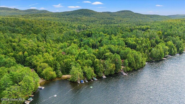 birds eye view of property featuring a water and mountain view