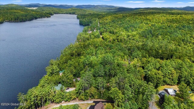 aerial view with a water and mountain view