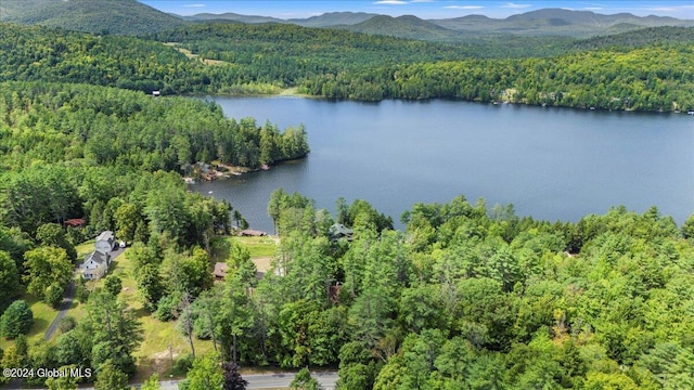 birds eye view of property featuring a water and mountain view