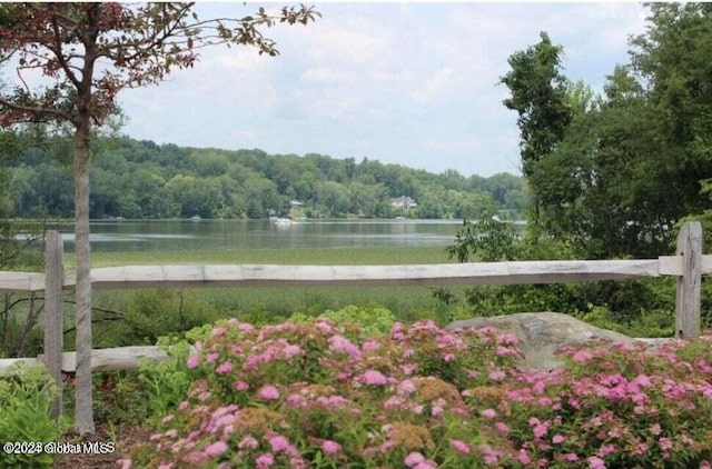 view of water feature