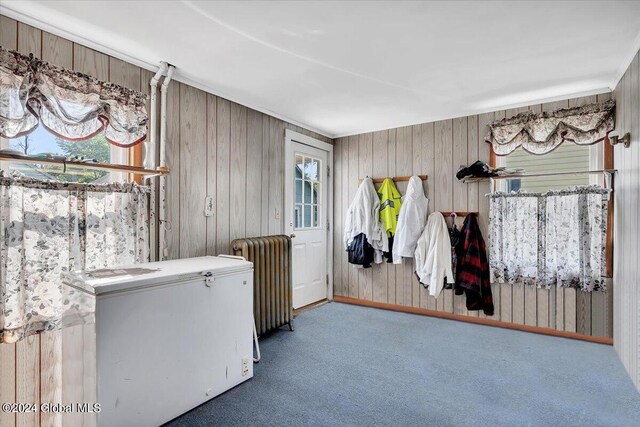 interior space featuring radiator, carpet, and a wealth of natural light