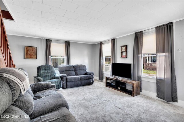 carpeted living area featuring ornamental molding and baseboards