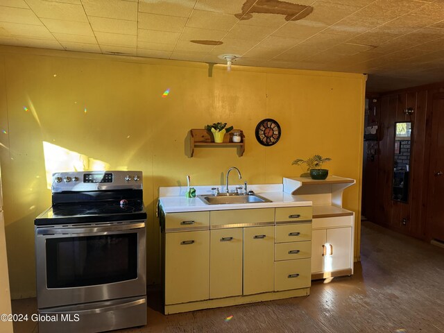 kitchen featuring stainless steel electric range, wood walls, sink, and dark hardwood / wood-style flooring