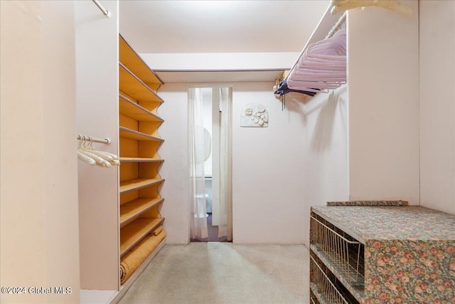 walk in closet featuring carpet flooring