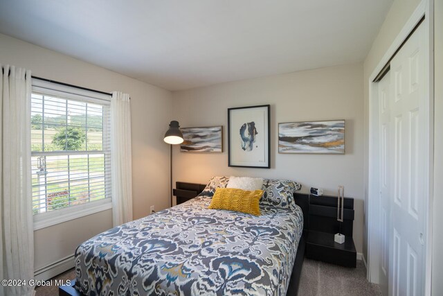 carpeted bedroom featuring multiple windows, a baseboard radiator, and a closet