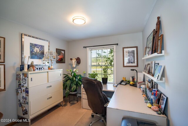 view of carpeted home office