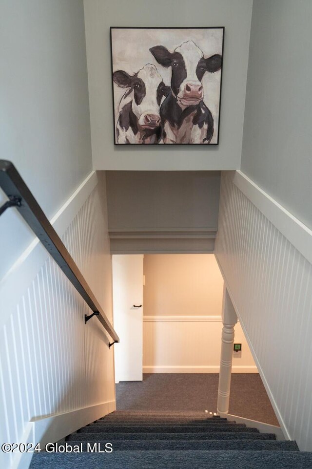 stairway with carpet floors