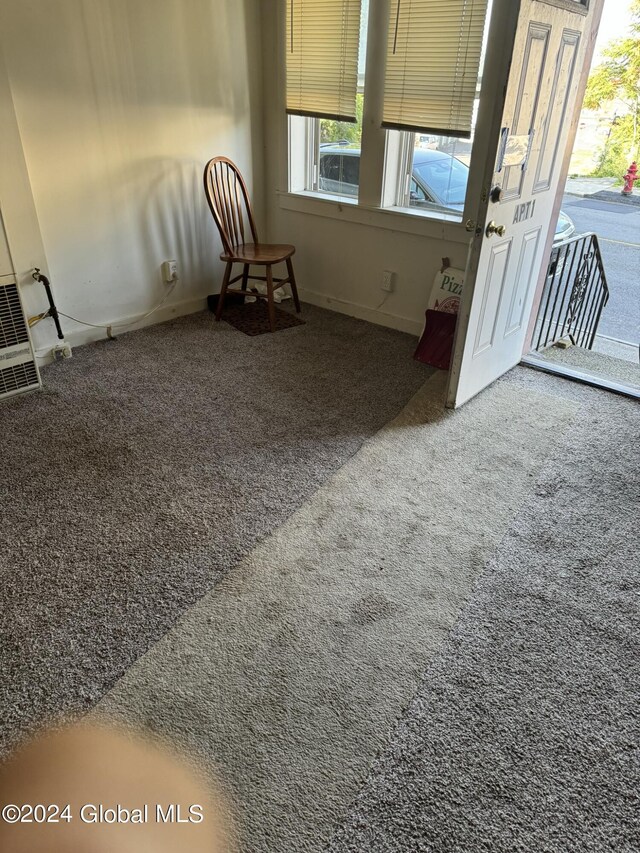 interior space with carpet floors