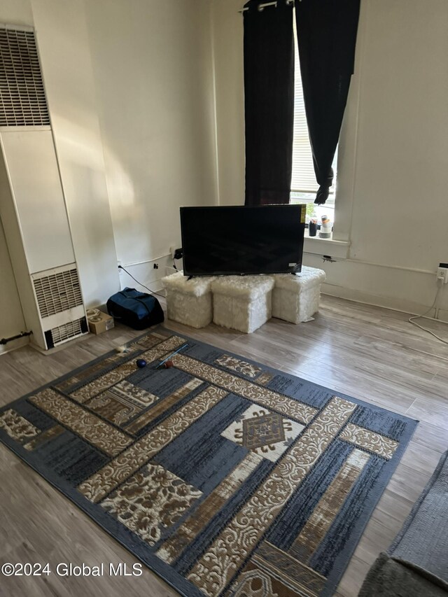 living room featuring light hardwood / wood-style flooring