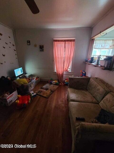 living room featuring ceiling fan and wood-type flooring