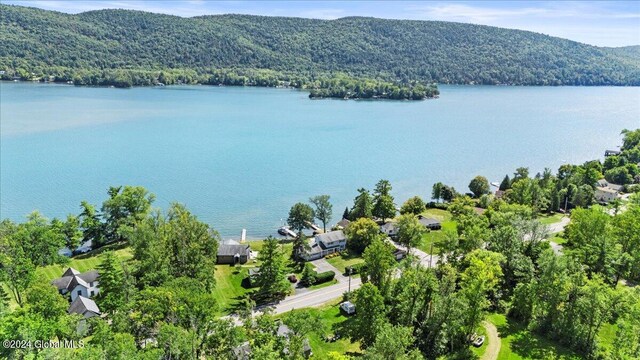 bird's eye view featuring a water and mountain view