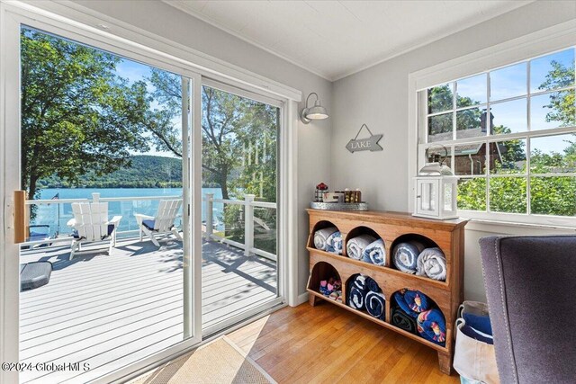 interior space featuring light wood-type flooring, ornamental molding, and a water view