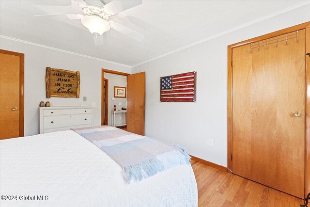 bedroom with light wood-type flooring, ornamental molding, ceiling fan, and a closet