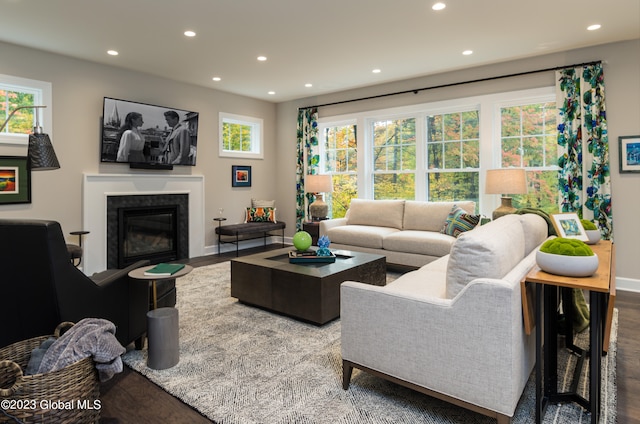 living room featuring hardwood / wood-style flooring