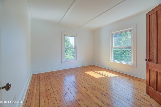 unfurnished room with light wood-type flooring