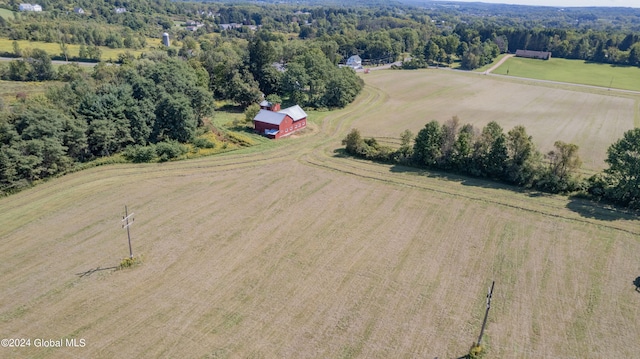 drone / aerial view featuring a rural view