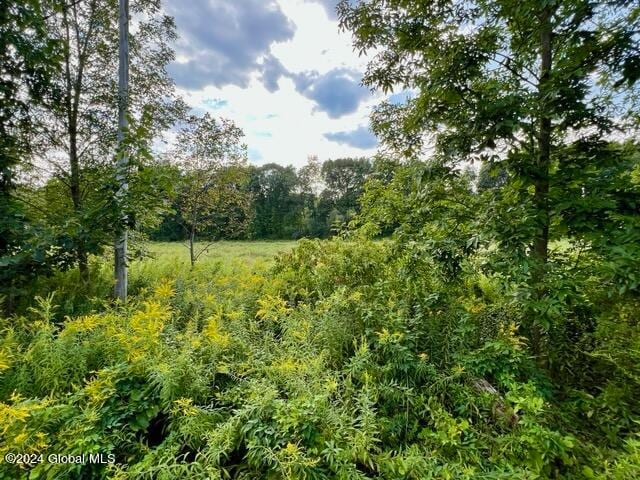 Listing photo 3 for L5 W River Rd, Northumberland NY 12831