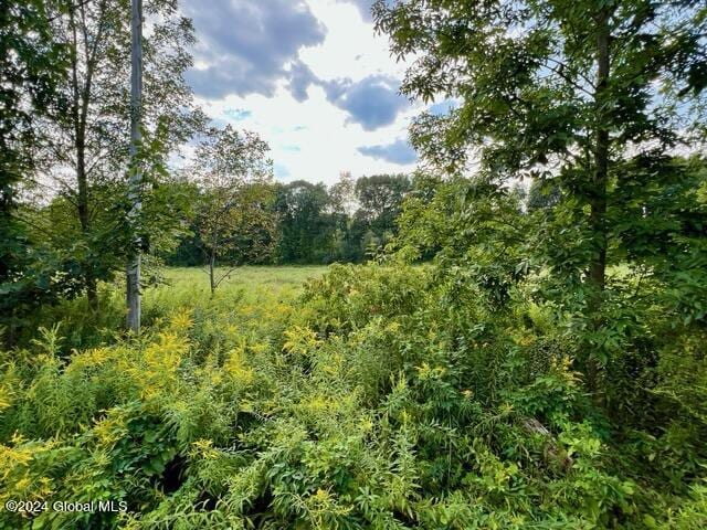 L5 W River Rd, Northumberland, NY 12831 - photo 3