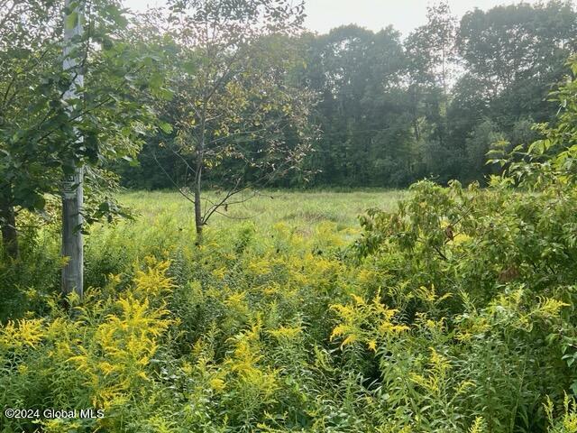 L5 W River Rd, Northumberland, NY 12831 - photo 4