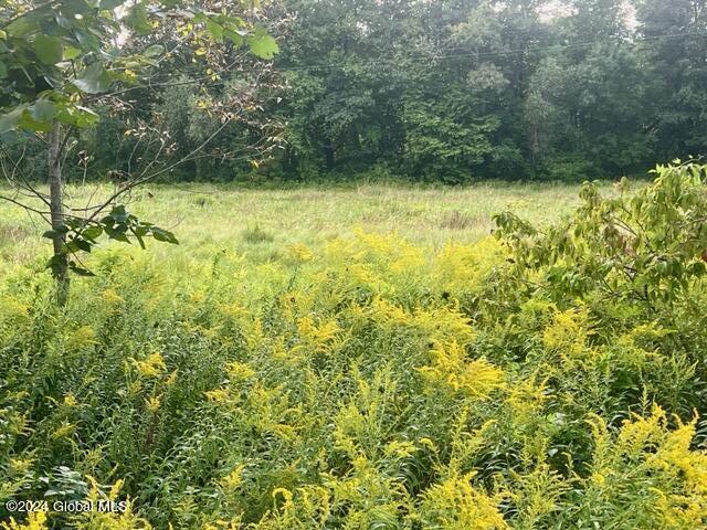 L5 W River Rd, Northumberland, NY 12831 - photo 2