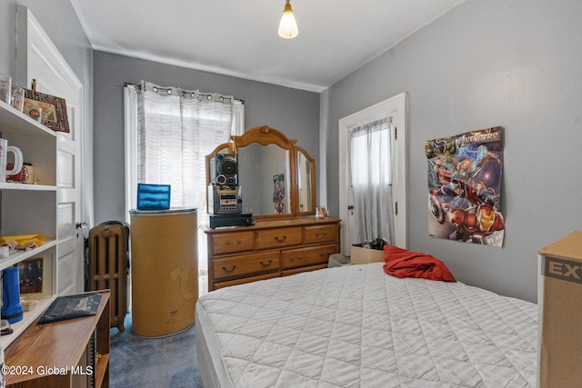 bedroom featuring carpet