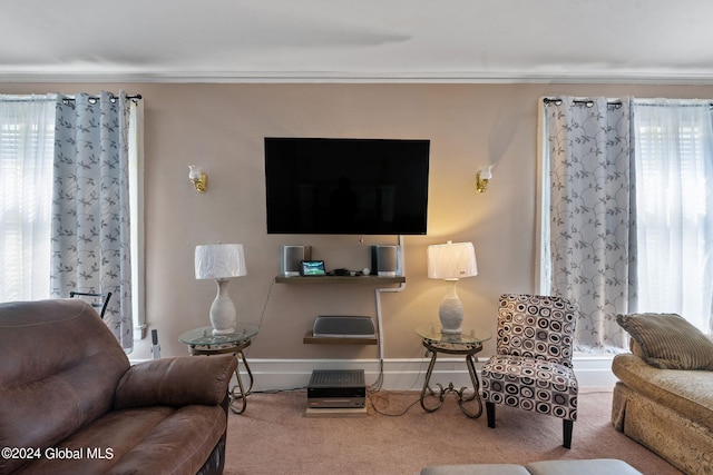 living room with plenty of natural light and carpet flooring