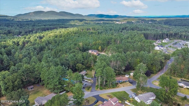 aerial view with a mountain view