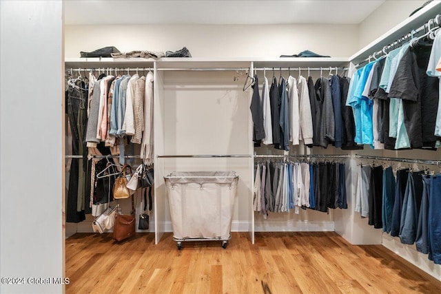 spacious closet with wood-type flooring