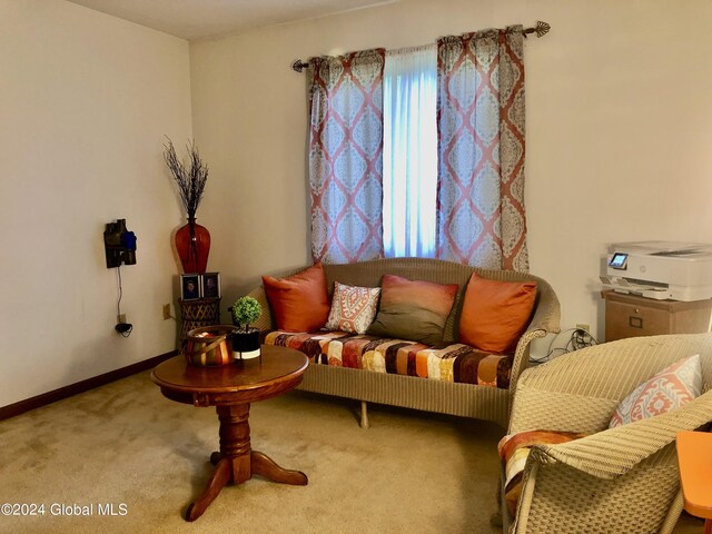 sitting room featuring carpet flooring