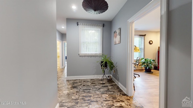 hall featuring wood-type flooring