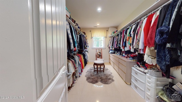 view of spacious closet