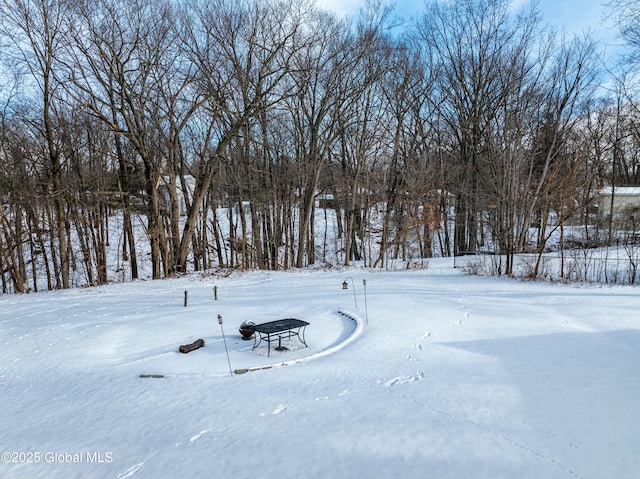 view of snowy yard