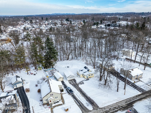 view of snowy aerial view