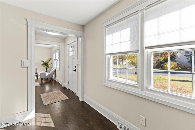 foyer entrance featuring plenty of natural light and dark hardwood / wood-style flooring