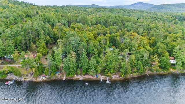 drone / aerial view with a water and mountain view