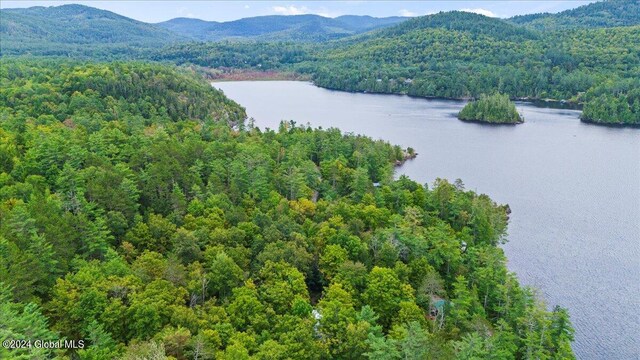 aerial view featuring a water and mountain view