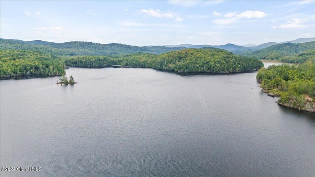 property view of water with a mountain view