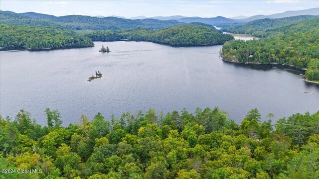 bird's eye view with a water and mountain view