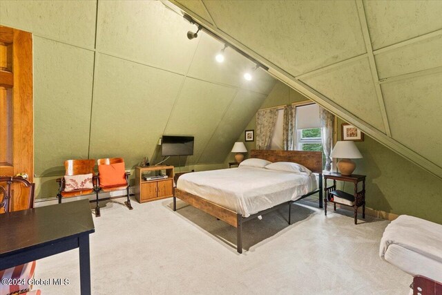 bedroom featuring rail lighting, carpet flooring, and vaulted ceiling