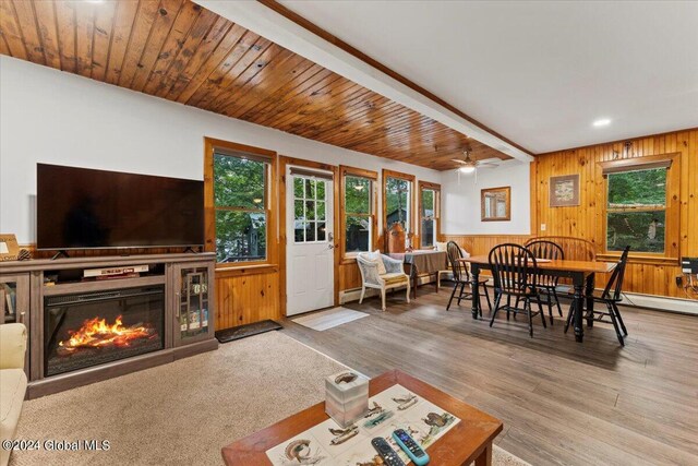 living room with wood walls, hardwood / wood-style flooring, and plenty of natural light