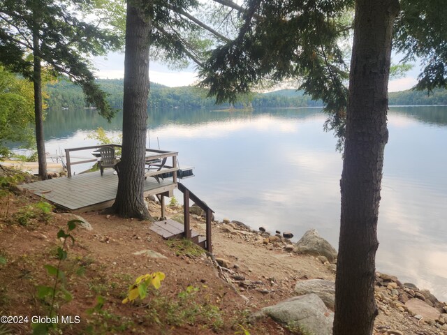 dock area with a water view