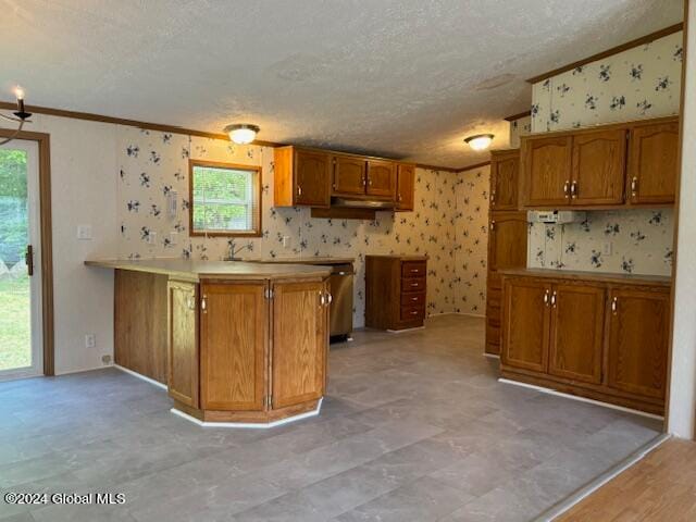 kitchen with ornamental molding, a textured ceiling, and kitchen peninsula