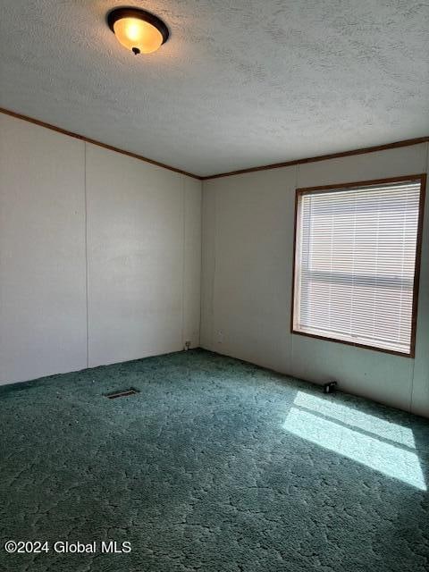 unfurnished room with crown molding, a textured ceiling, and carpet floors