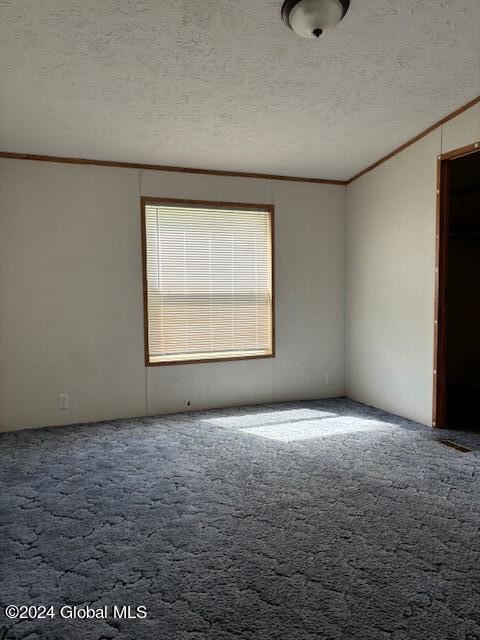 carpeted empty room featuring crown molding and a textured ceiling