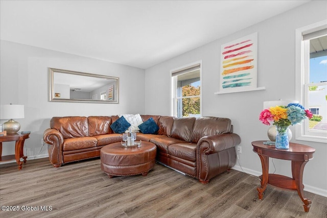 50 Whipple Way, Altamont, NY 12009 - living area with wood finished floors, plenty of natural light, and baseboards