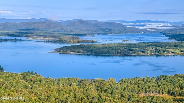 water view featuring a mountain view